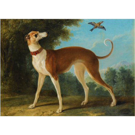Pocztówka Sighthounds in Art No. 7