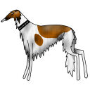 borzoj