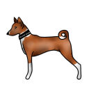 basenji