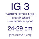 IG 3