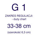 G 1
