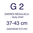 G 2