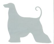 Naklejka Afghan Hound - 2