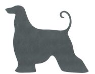 Naklejka Afghan Hound - 4