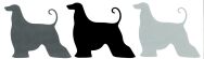 Naklejka Afghan Hound - 3