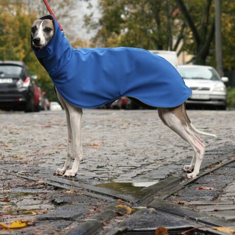 Kurtka sportowo-zimowa softshell niebieska