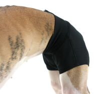 Majtki dla charta zielony melanż - 4