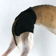 Majtki dla charta zielony melanż - 3