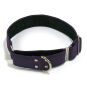 Obroża martingale jednokolorowa 30 mm różne kolory